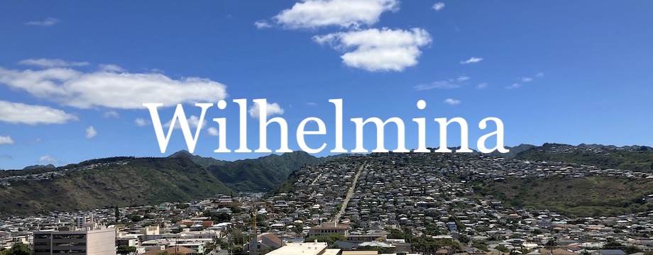 Wilhelmina Market Report