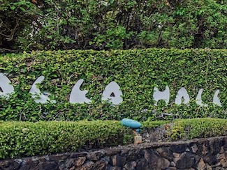 Aleo Hale Sign