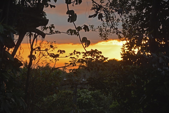 Sunset View facing Ewa