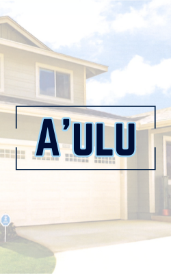 Aulu