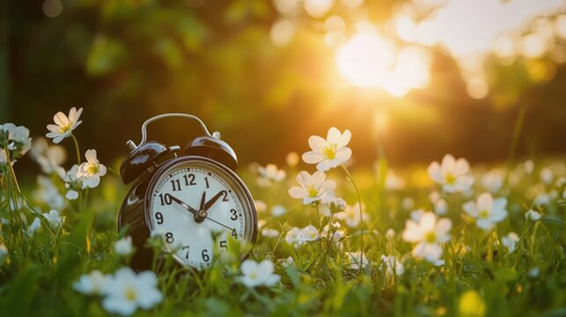 Clock in Flowers - Daylight Saving