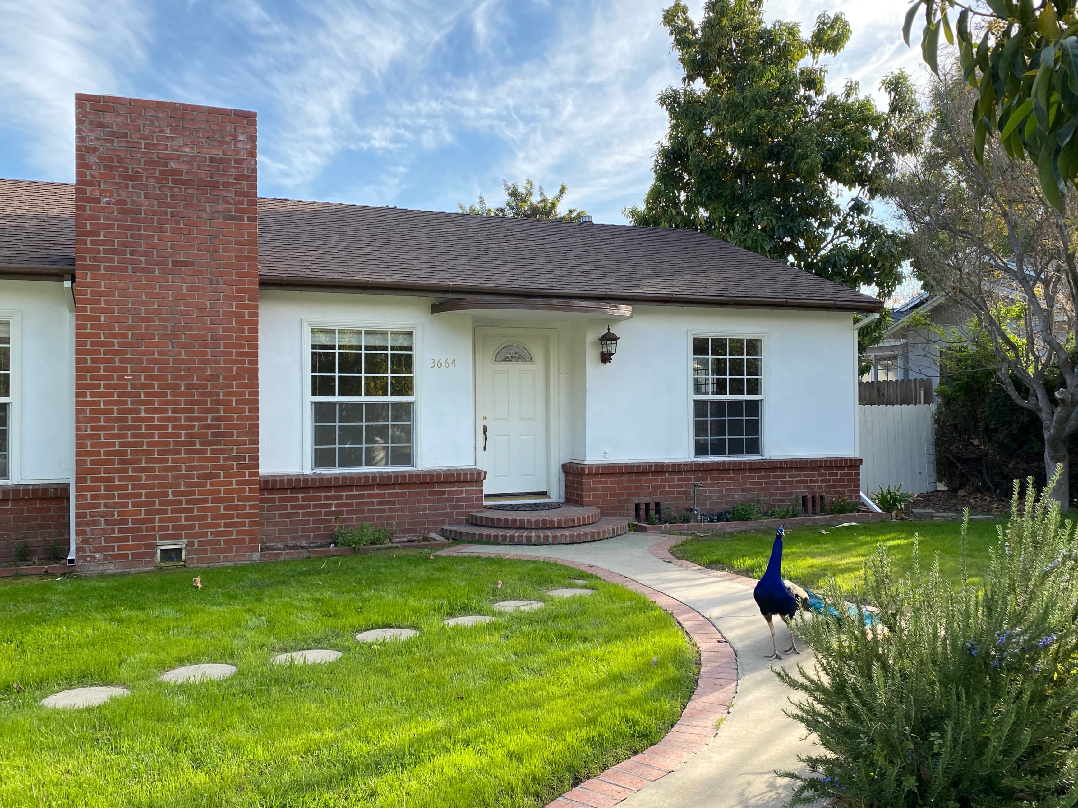 3664 Grayburn Road Peacock