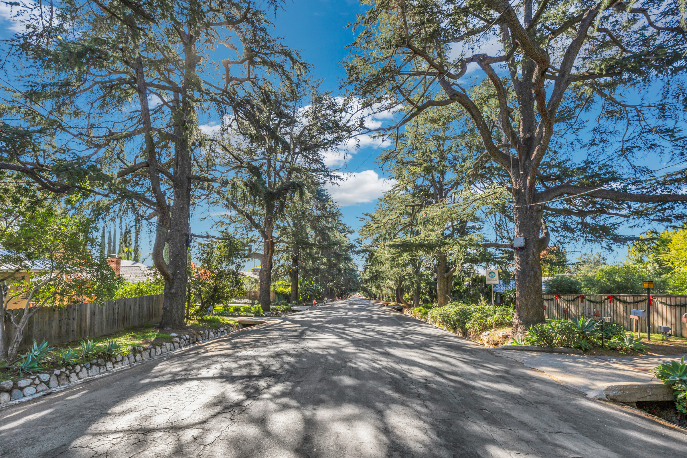 631 Deodara Drive Altadena CA 91001