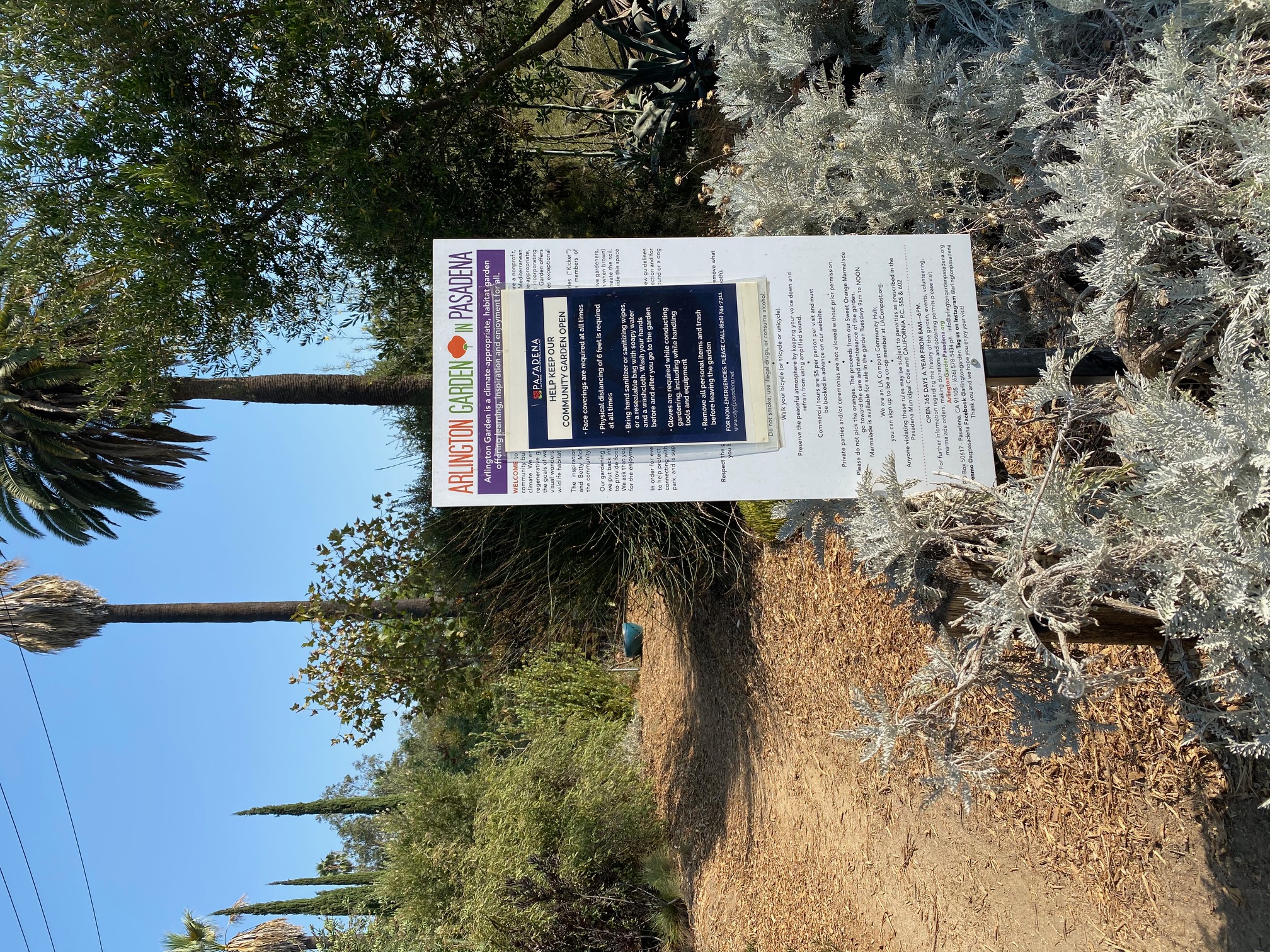 Arlington Garden 001