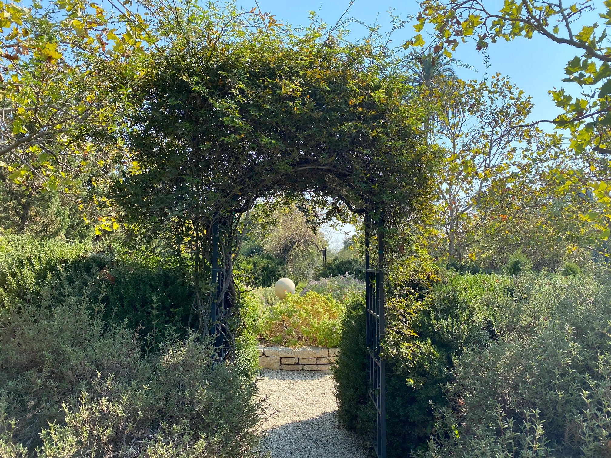 Arlington Garden 003
