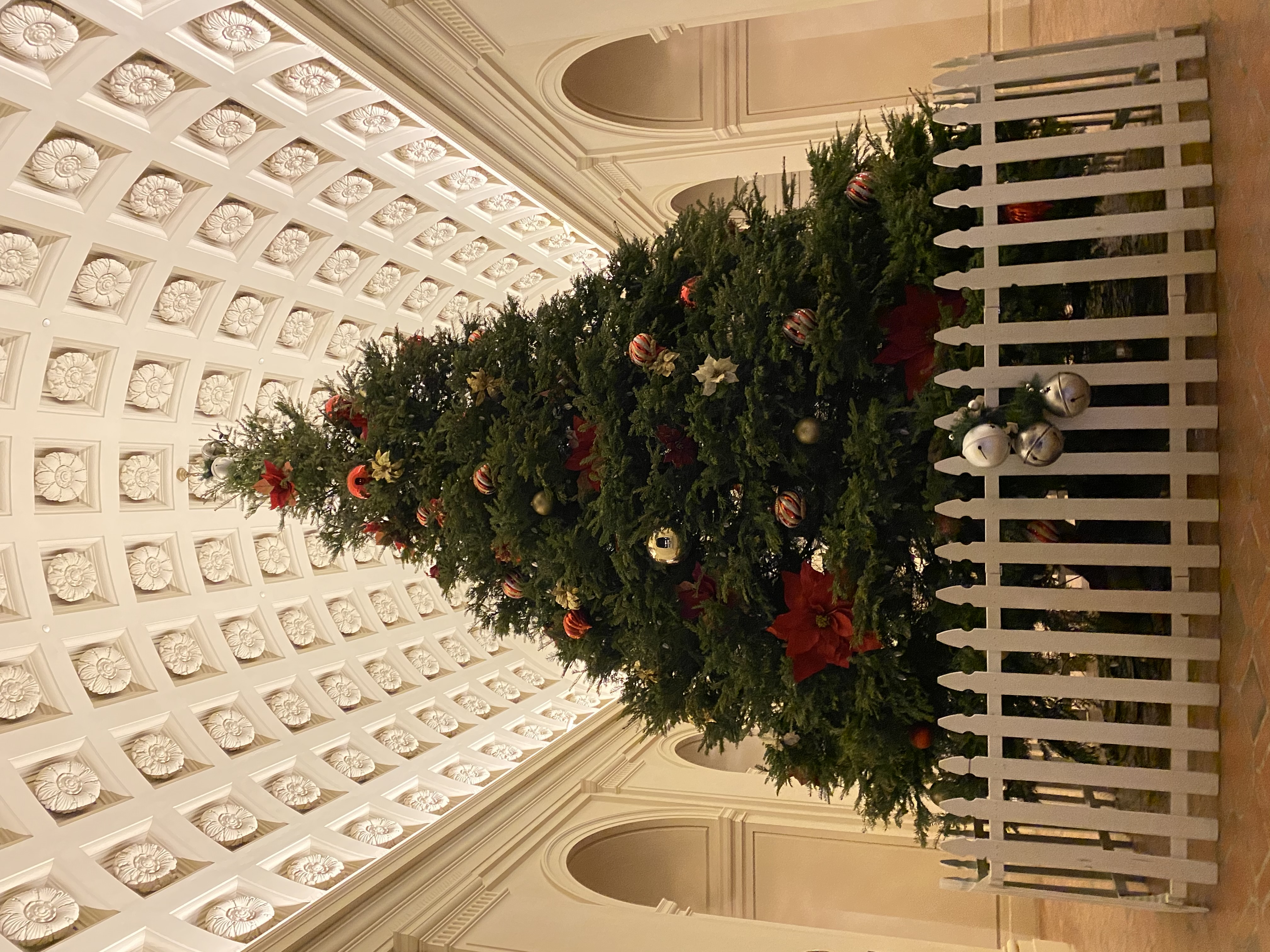 Christmas Tree at City Hall of Pasadena 2020