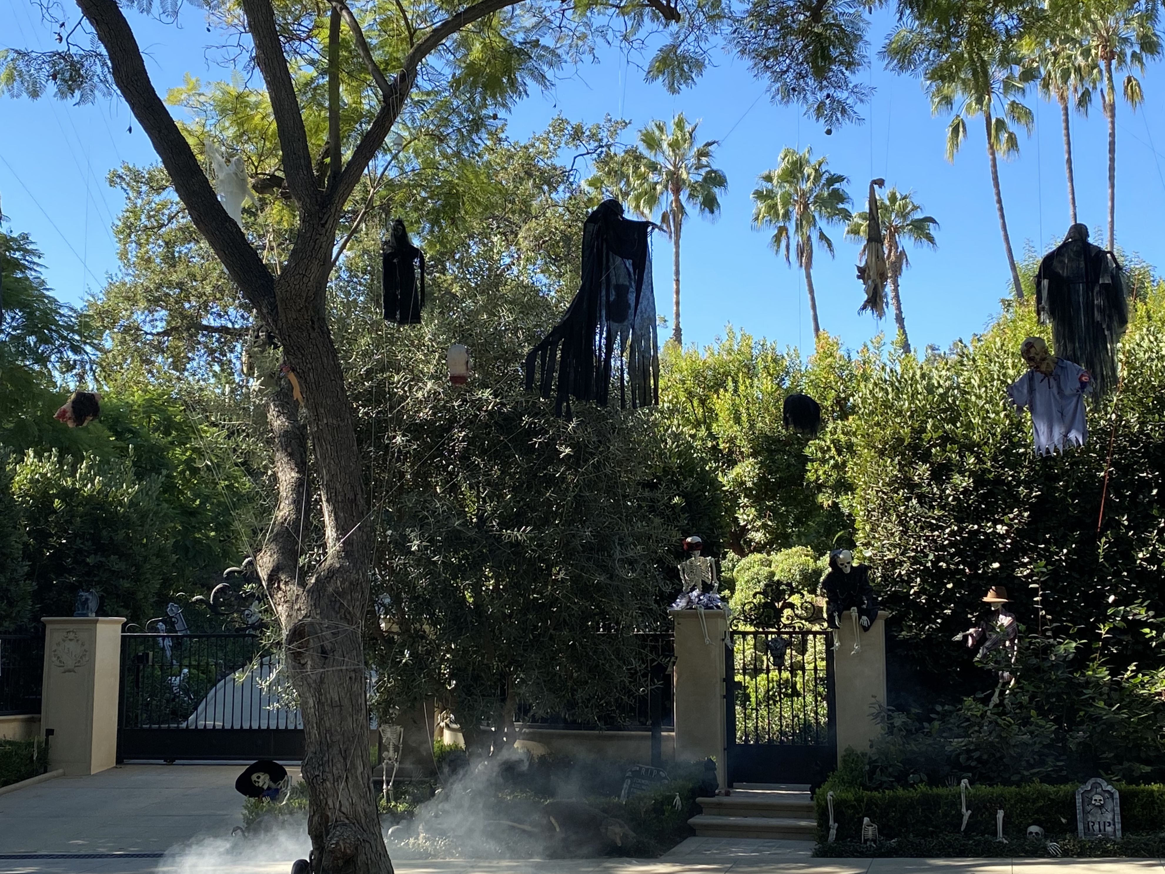 Halloween 2020 in Pasadena 4