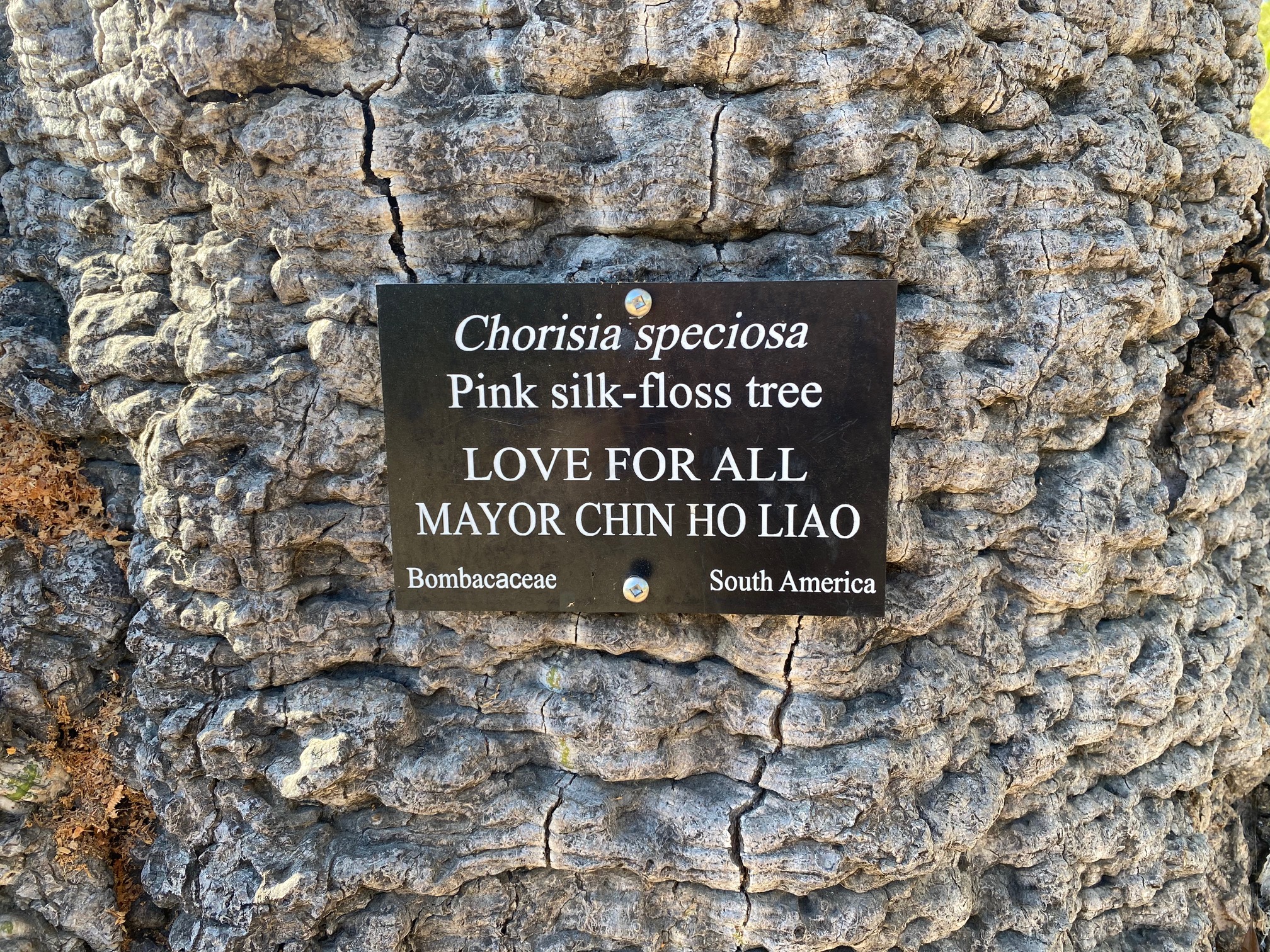 Los Angeles County Arboretum Photo 005