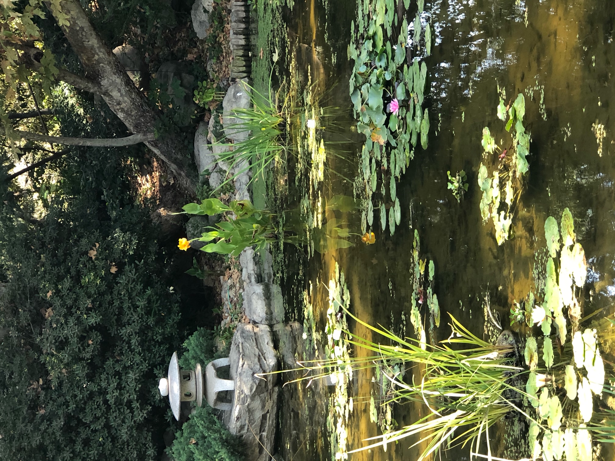 Storrier Stearns Japanese Garden 003