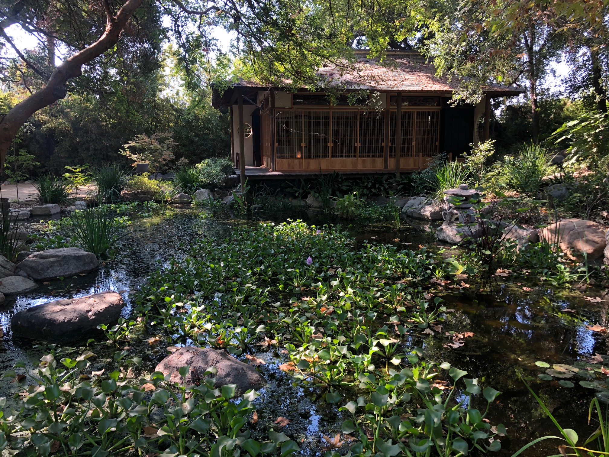 Storrier Stearns Japanese Garden 007