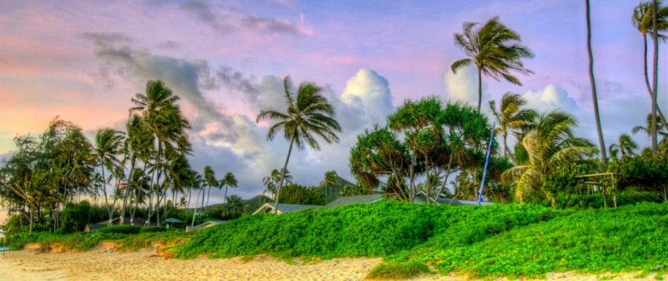 Industrial Property For Sale Oahu Industrial Property For Sale Oahu