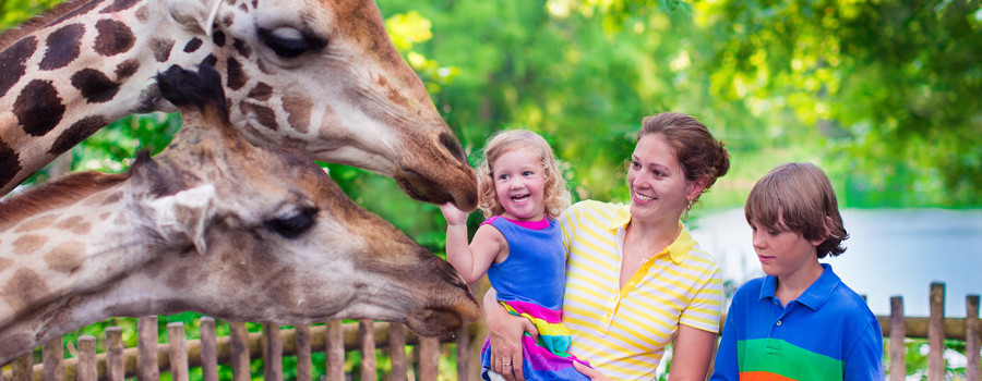 Friendswood - Zoo