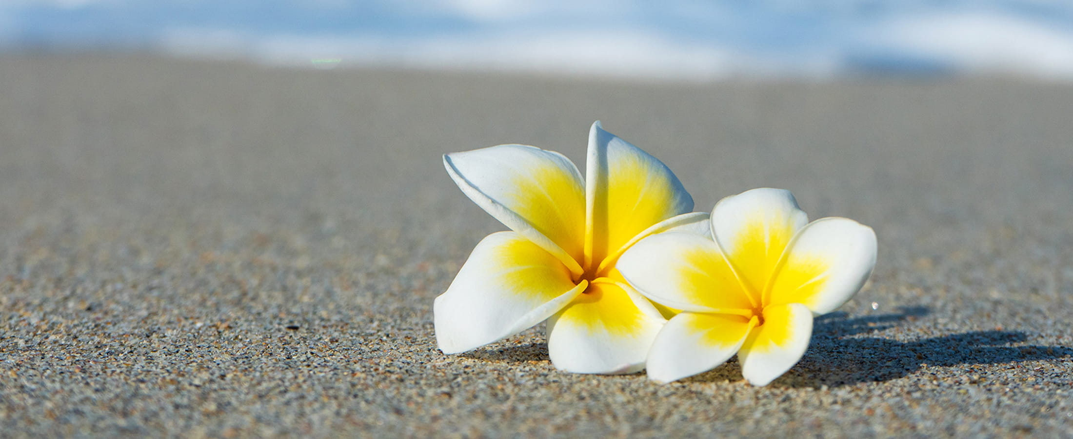 Central Oahu Real Estate Central Oahu Homes For Sale