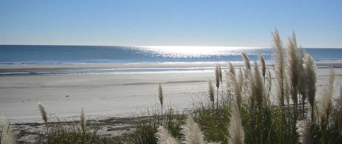Hilton Head Island Condo Foreclosures Hilton Head Island Condo Foreclosures