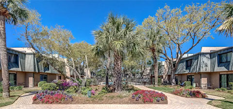 Condos for sale at Ocean Club in Hilton Head, SC