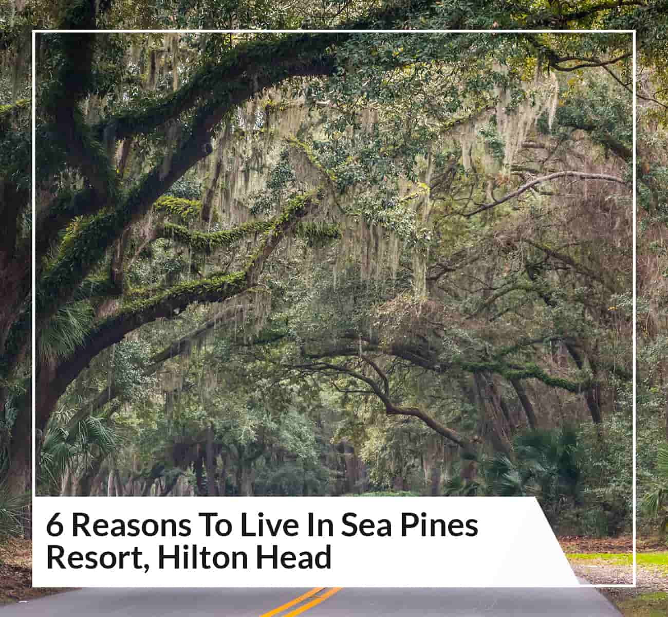 6 Reasons To Live In Sea Pines Resort, Hilton Head