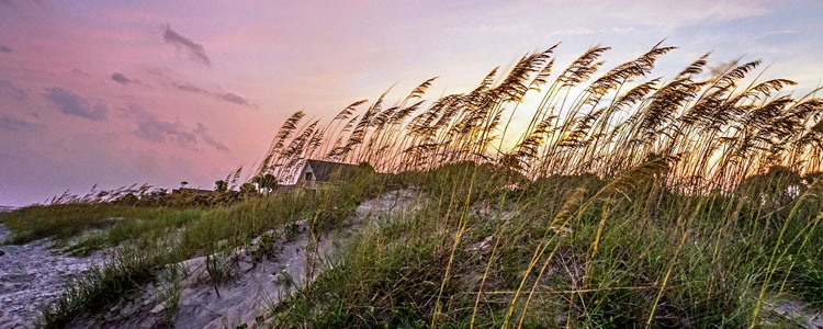 Moving to and Living in Hilton Head Island, S.C.