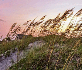 Moving to and Living in Hilton Head Island, S.C. - The Definitive Guide