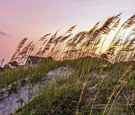Moving to and Living in Hilton Head Island, S.C. - The Definitive Guide