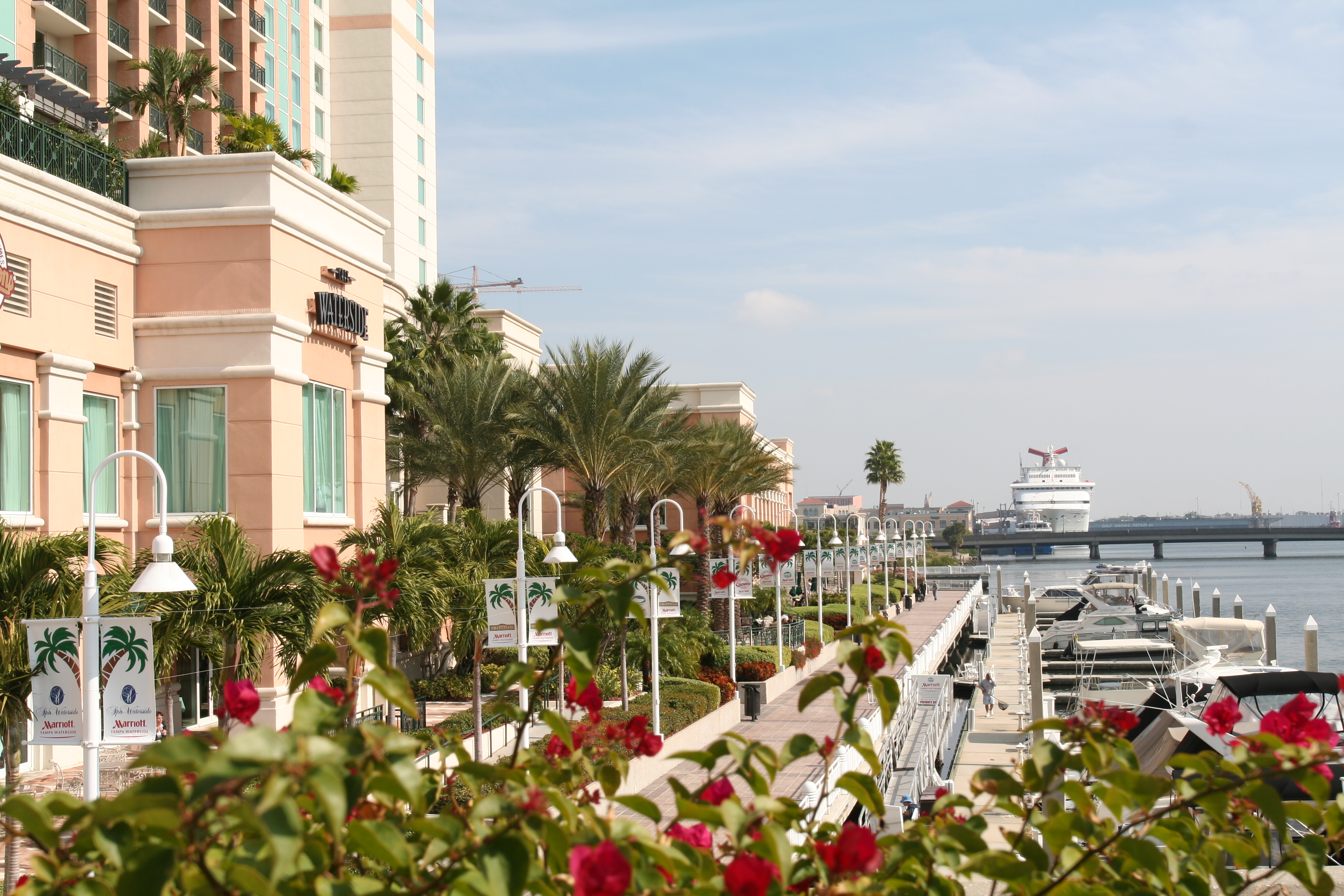 Live on Harbour Island Harbour Island Real Estate For Sale