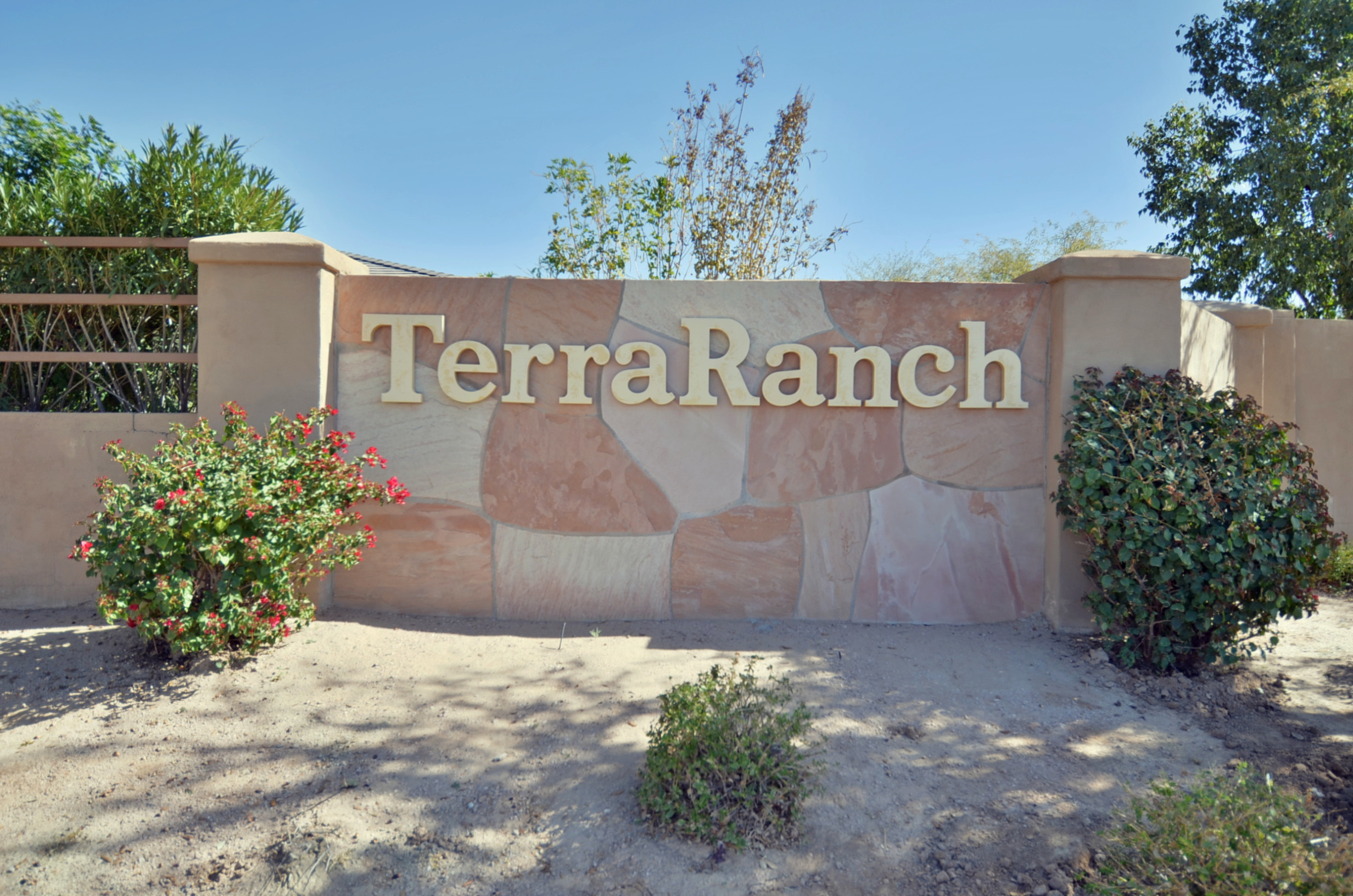 Homes for sale in Terra Ranch in Queen Creek AZ