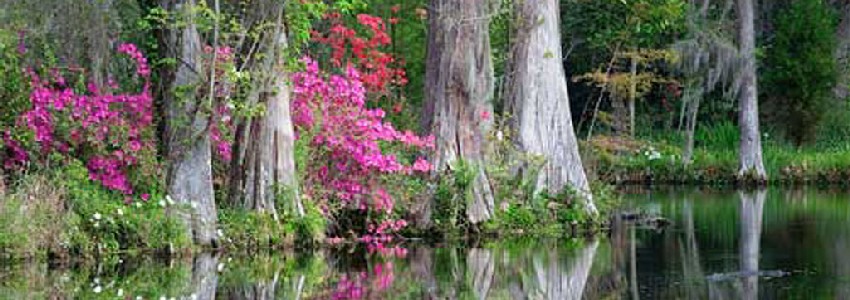 Cypress Gardens Berkeley County, South Carolina