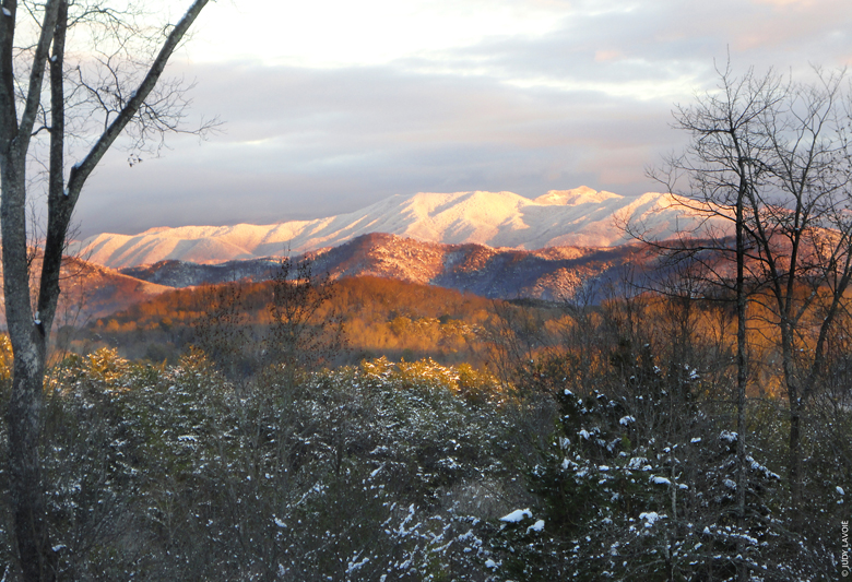 plains in tennessee