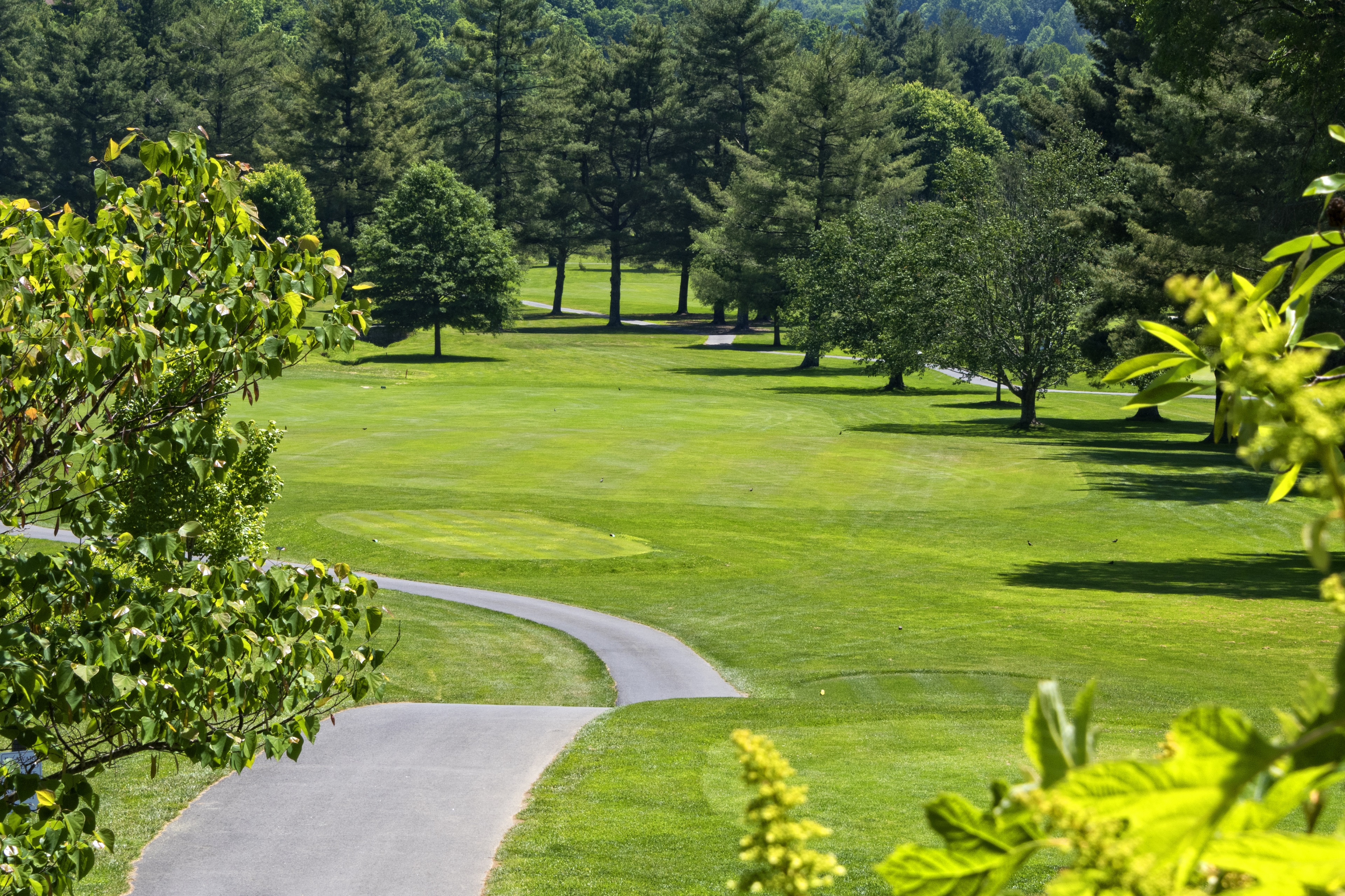 Waverly Homes for Sale near Ballantyne in Charlotte NC