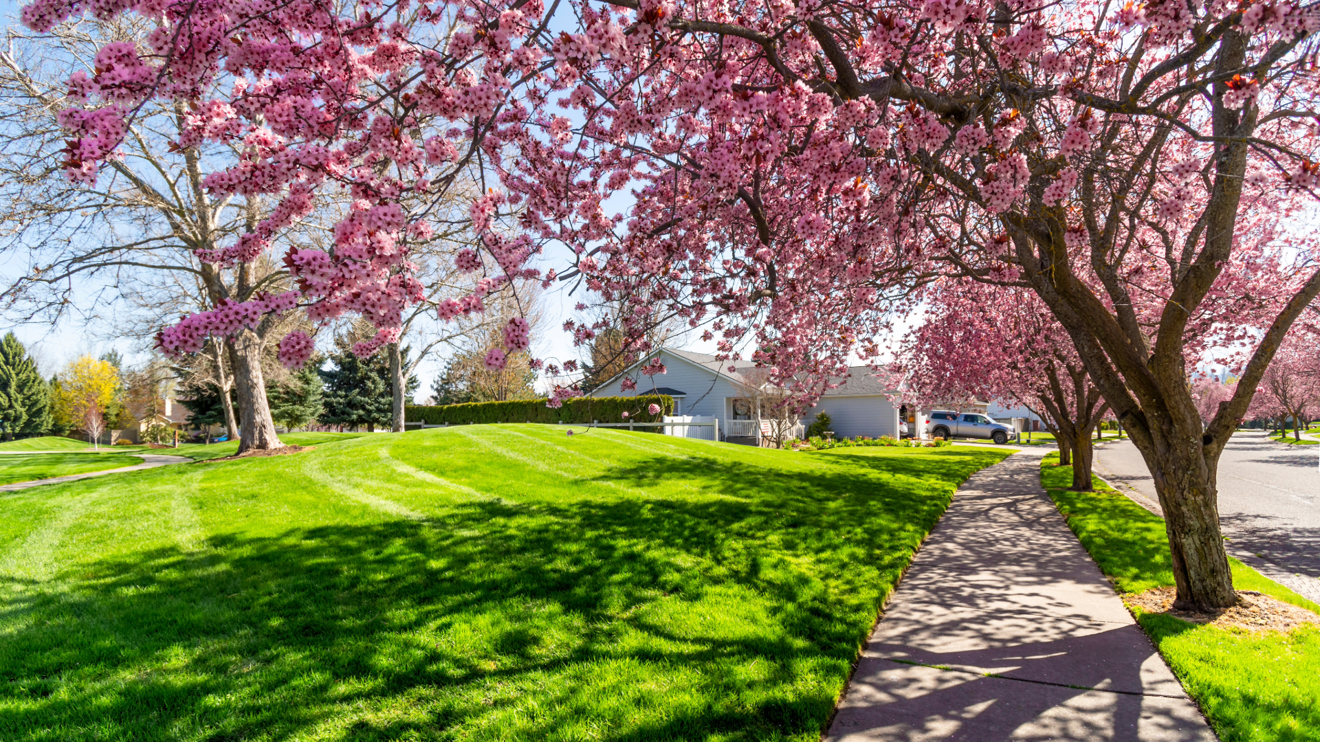 Residential neighborhood in Stallings North Carolina during spring