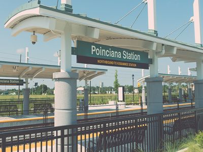 Poinciana