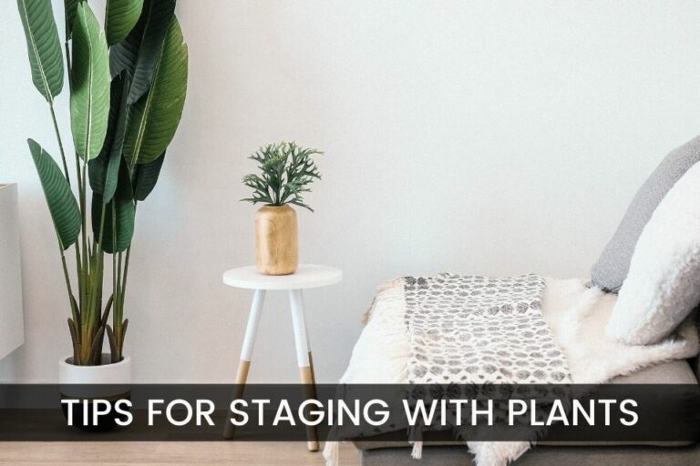 Home Stager Tips for Decorating with Plants