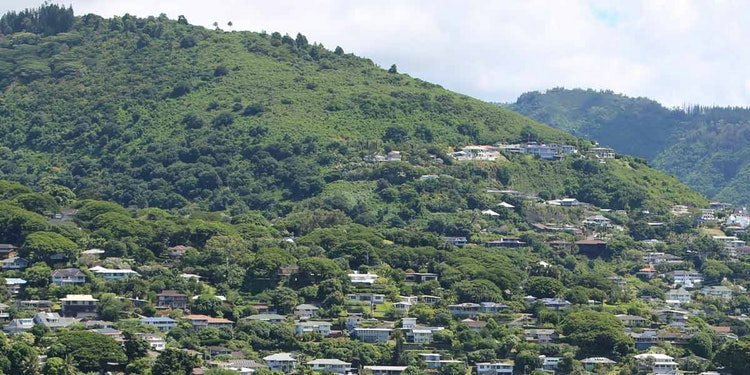 Oahu Neighborhood