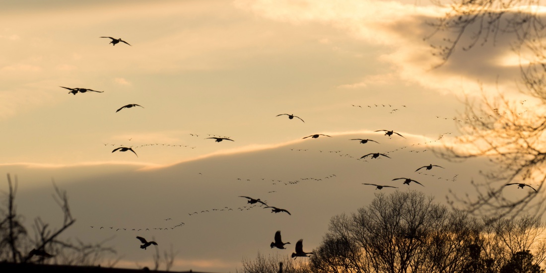 Delaware Hunting Properties