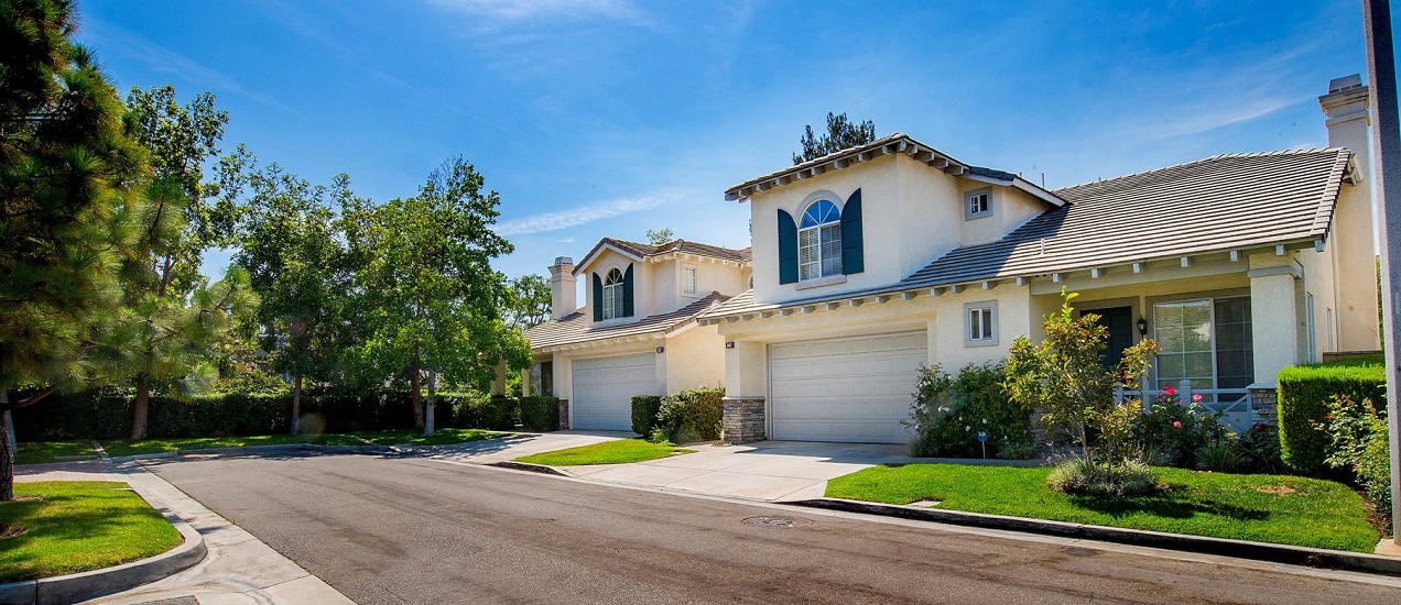 Homes for Sale in South Lake Villas, Woodbridge, Woodbridge South Lake