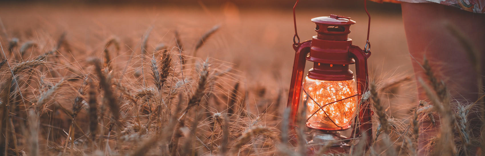 Homes for Sale in Ailsa Craig Ailsa Craig Ontario Real Estate