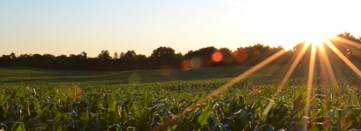 Farms for Sale in Aylmer Ontario