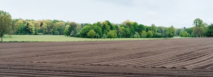 Land for Sale in Aylmer Ontario