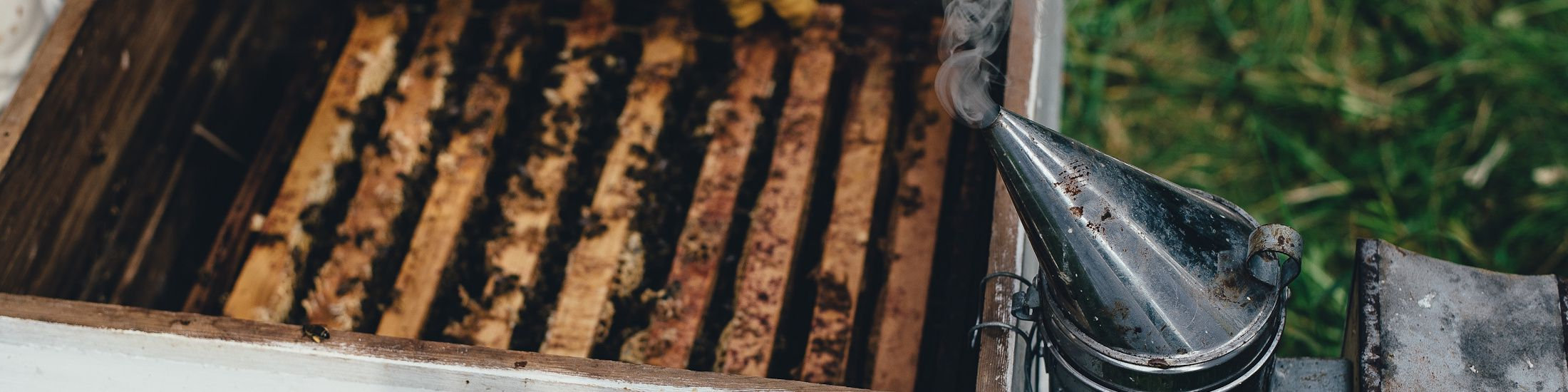 Homes for Sale in Aylmer Aylmer Ontario Real Estate TeamForster