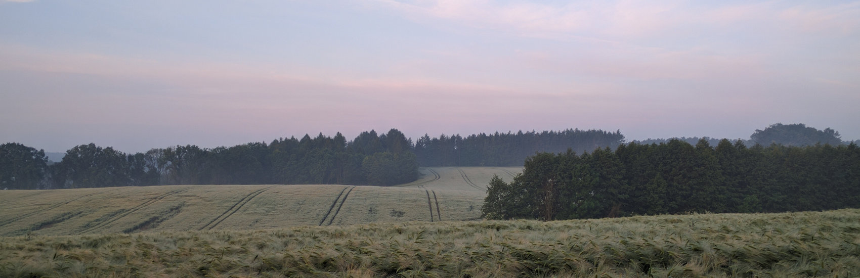 Birr Ontario Real Estate Homes for sale in Birr ON MLS Listings