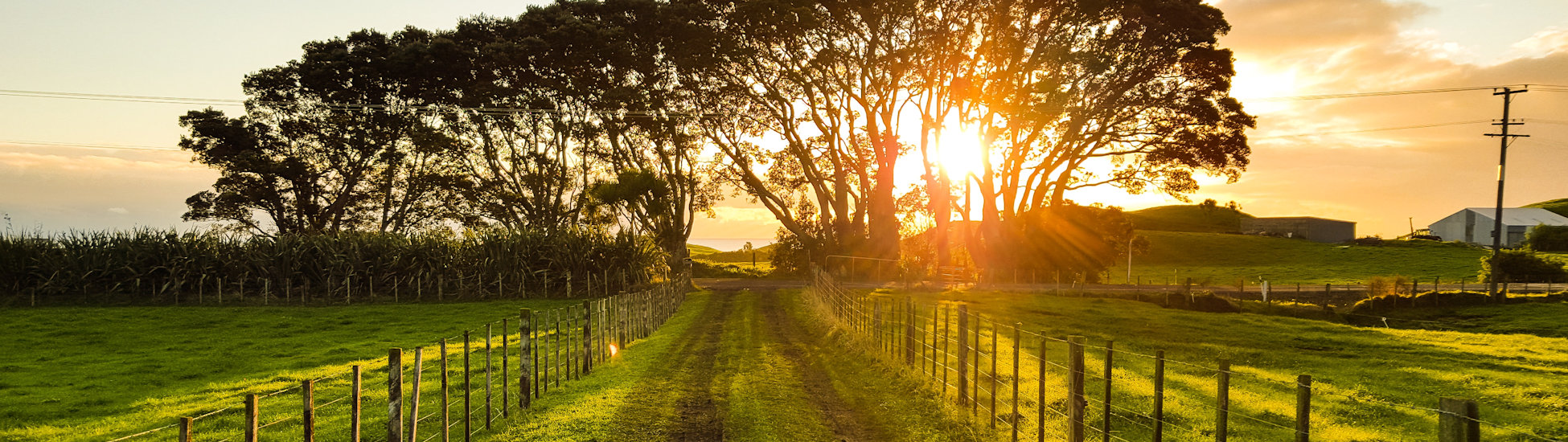 Central Elgin Ontario Houses for sale Real Estate Listings