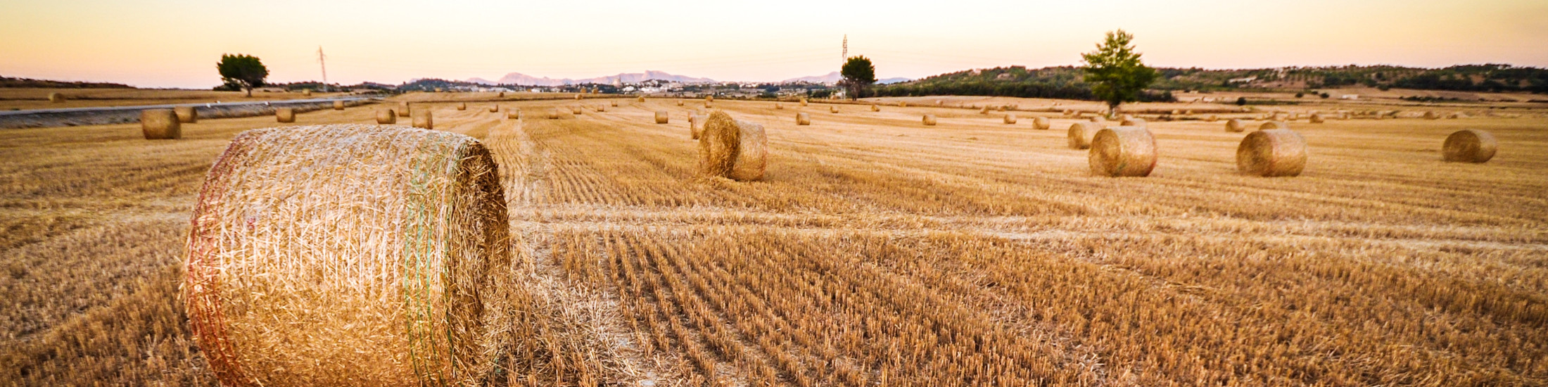 Homes for Sale in Alvinston Alvinston Ontario Real Estate TeamForster