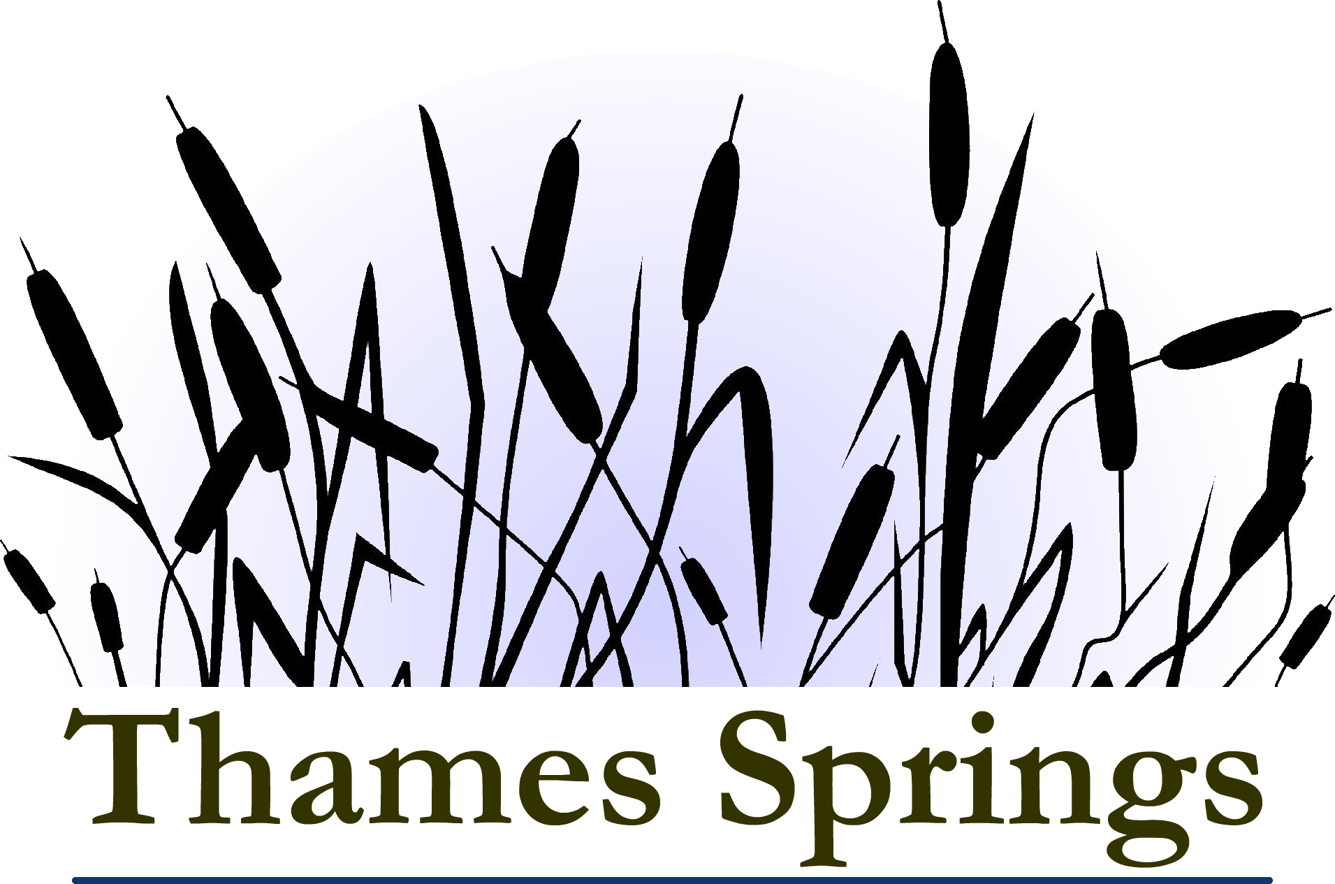 Thames Springs Thamesford Real Estate Homes for Sale in Thames