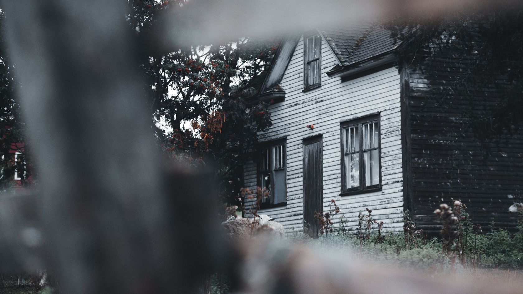 Aged home exterior partially obscured, evoking neglected maintenance