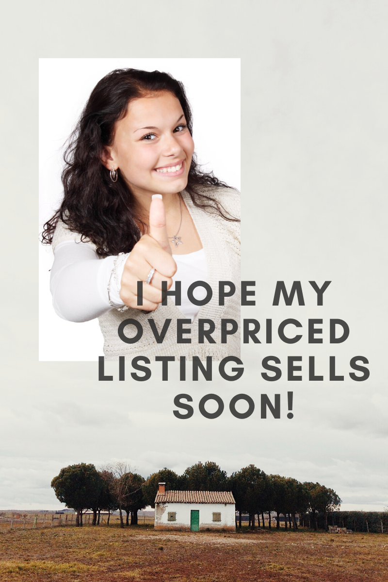 https://u.realgeeks.media/homessellwithkell/I_hope_my_overpriced_listing_sells_soon!_(1).png
