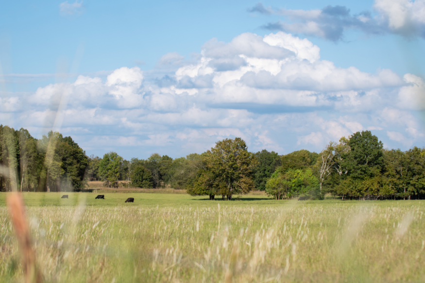 Ranch & Land