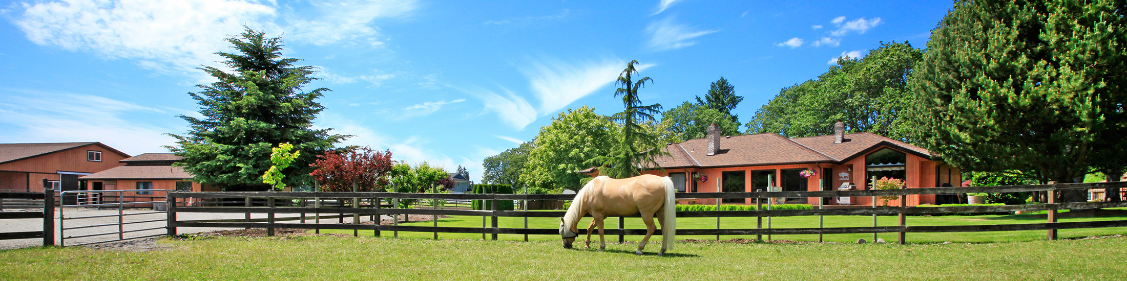 Horse Properties. Cattle & Livestock Ranches For Sale in Humboldt