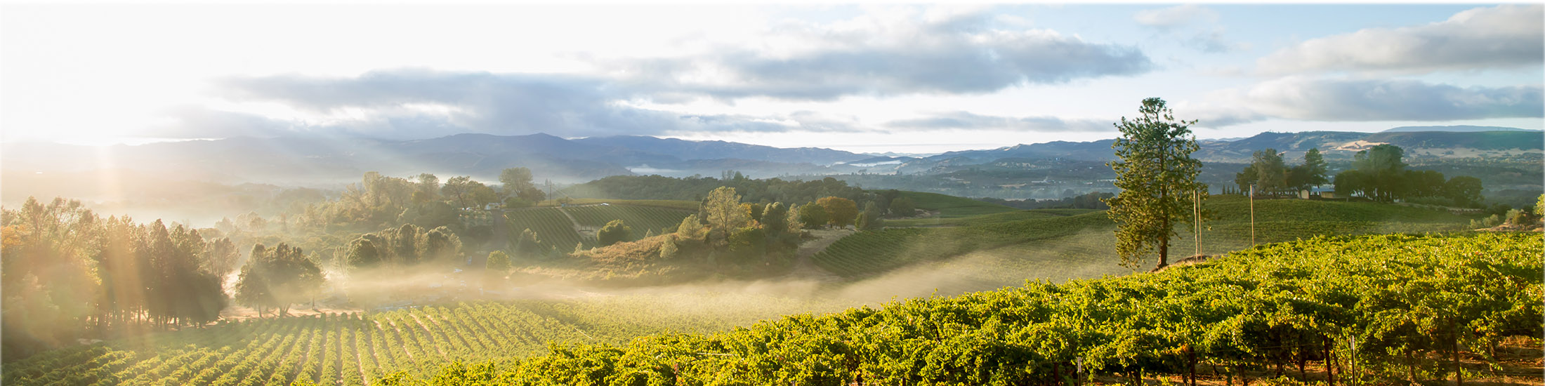 Vineyards & Farms for Sale in Humboldt County