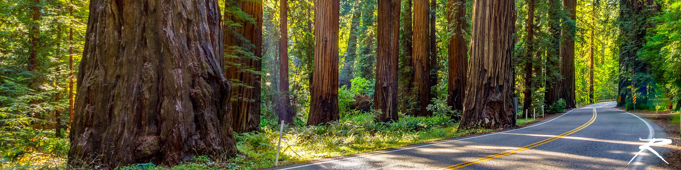 Newest property and real estate listings in Humboldt MLS