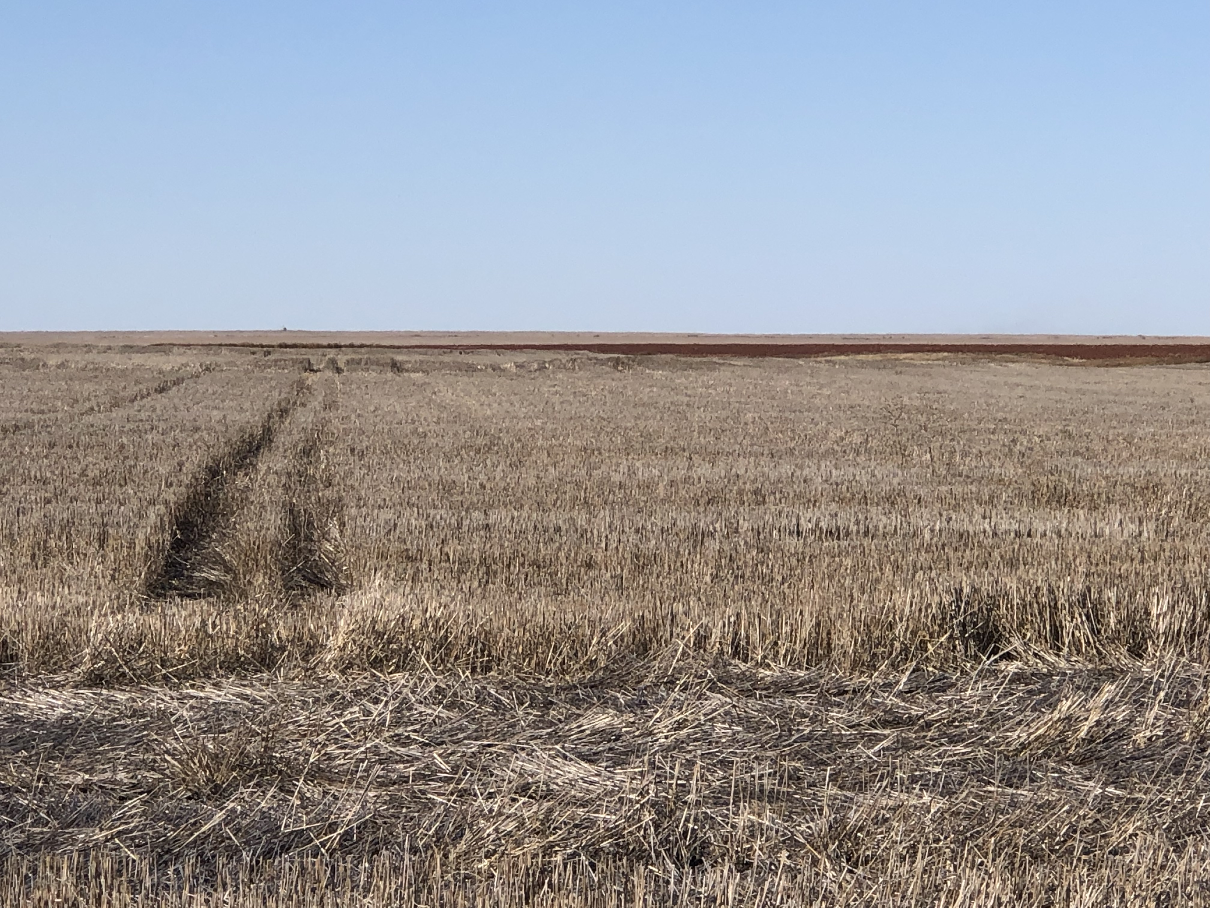 320 Acres of Finney Co. Dry Land