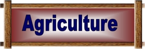 Agriculture Button